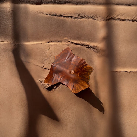 MINI TOP: ʿAyn al-Baḥr عين البحر